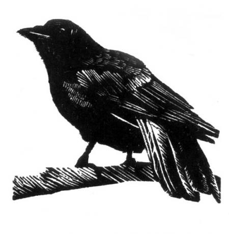 image: Crow engr.jpg